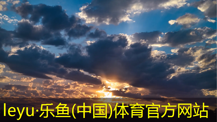 <strong>乐鱼体育官方网站,桥北塑胶跑道</strong>