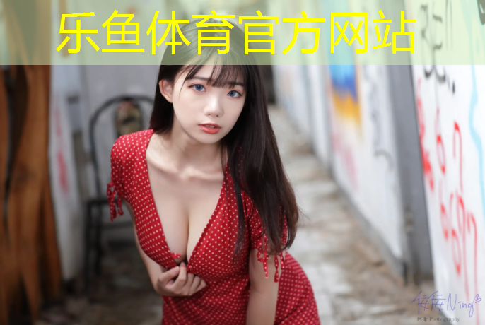 乐鱼体育官方网站,网球网前型单打技术