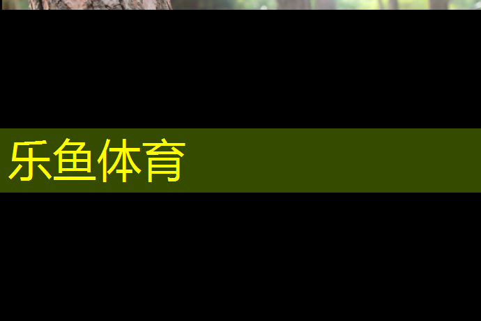 乐鱼体育,临夏幼儿园塑胶跑道价格