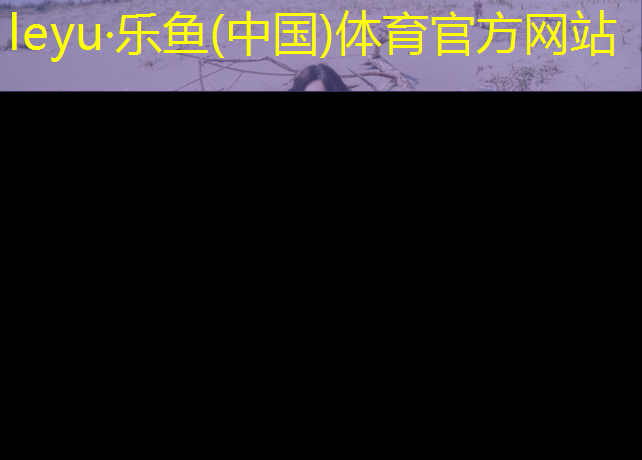 <strong>乐鱼体育,网球网柱怎么挂墙上</strong>