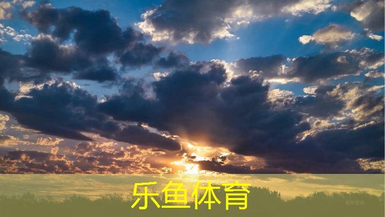 乐鱼体育,临沧混合塑胶跑道价格多少