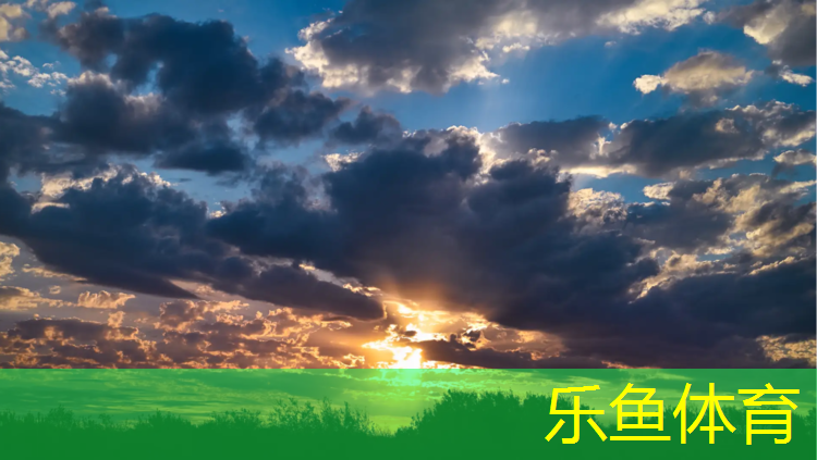 <strong>乐鱼体育,悬浮式拼装塑胶跑道</strong>