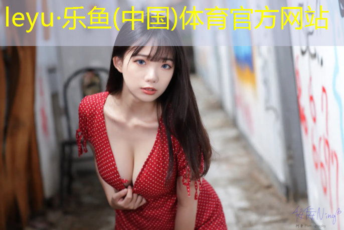 网球网前型单打技术