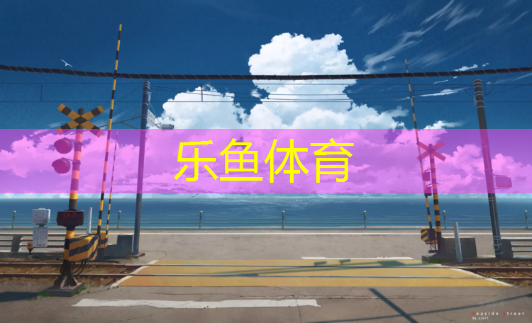 资阳网球网围网