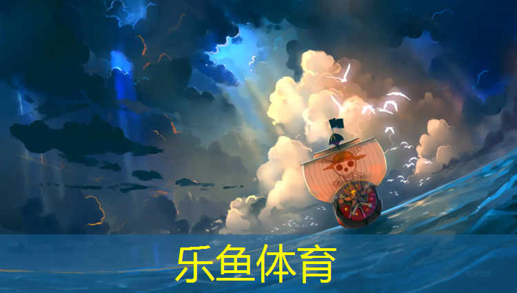 皮革海绵体操垫怎么用