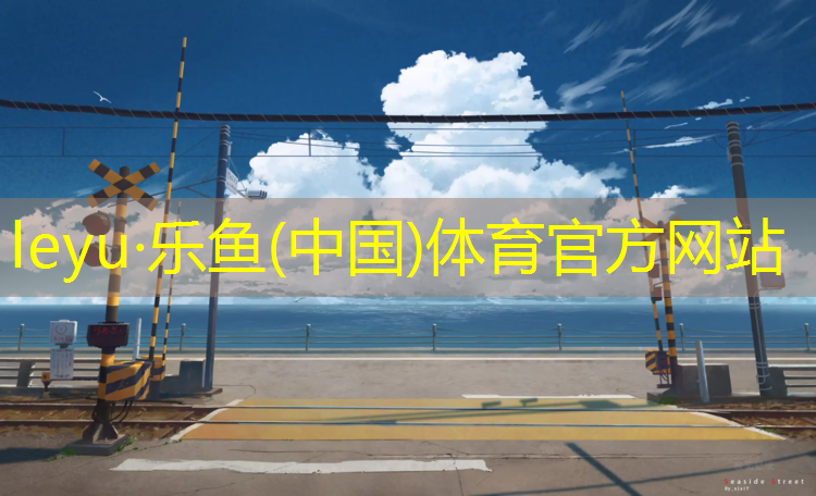 尽情享受篮球乐趣的秘密武器！揭开可拆卸可移动篮球架的神秘面纱！